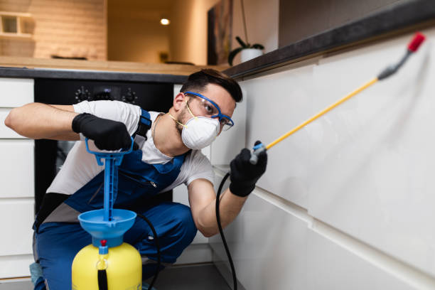 Pest Prevention Services in Williamsville, NY
