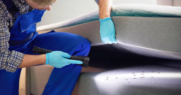 Best Affordable Exterminators  in Williamsville, NY