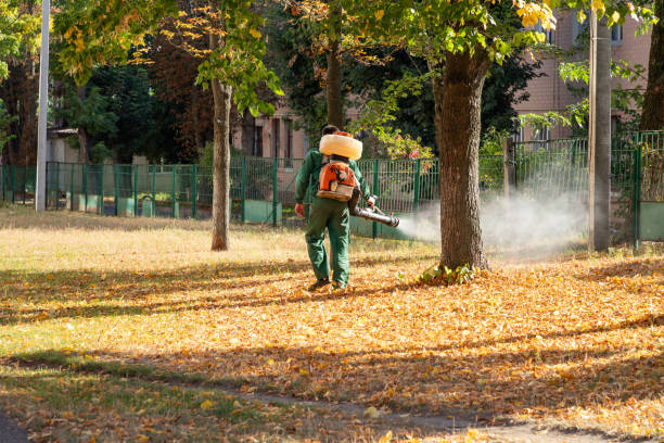 Wasp Removal Services in Williamsville, NY