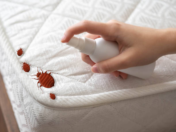 Best Pest Control for Restaurants  in Williamsville, NY