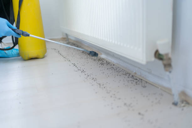 Best Best Pest Control Companies  in Williamsville, NY