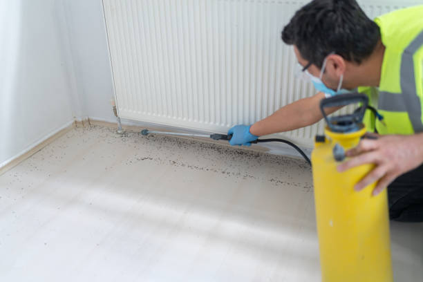 Professional Pest Control in Williamsville, NY