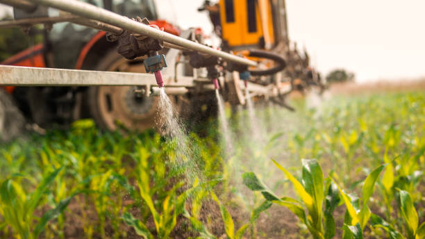 Best Pest Control Cost  in Williamsville, NY